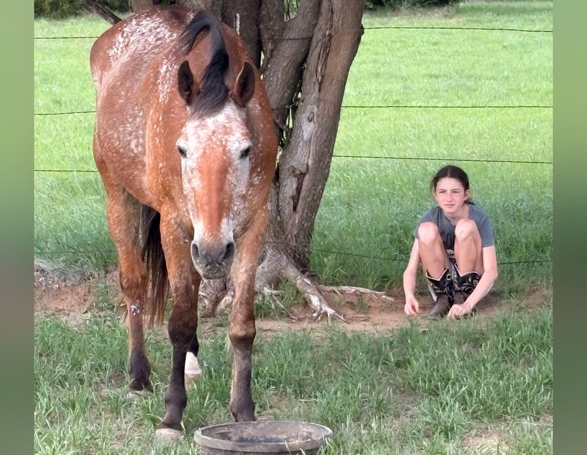 Buddy Ole Boy, before